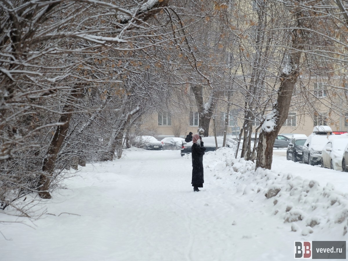     Фото: Владислав Постников / Вечерние ведомости