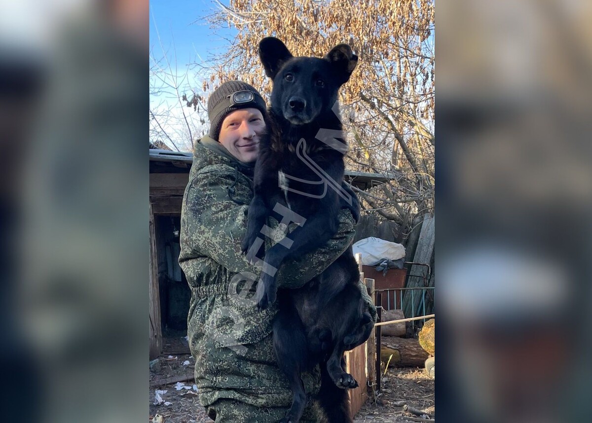    Пес Ян / Источник: © Фото из личного архива