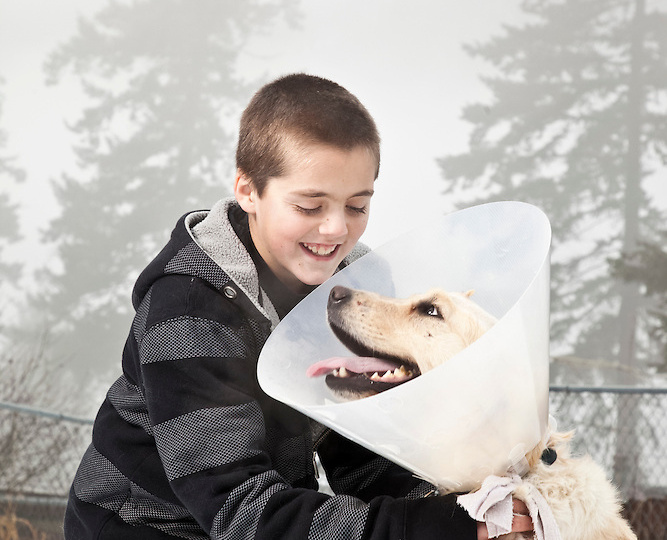 Собака, которая спасла своего мальчика от кровожадной пумы