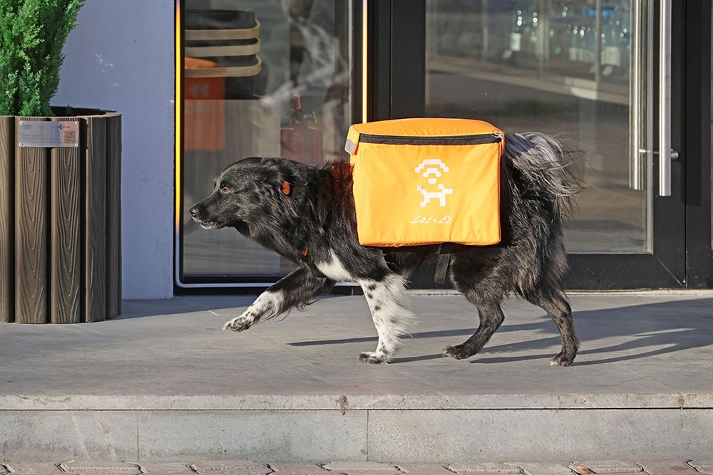    Организаторы акции сняли ролики для сети в жанре, имитирующем документальную съемку. / Татьяна Андреева