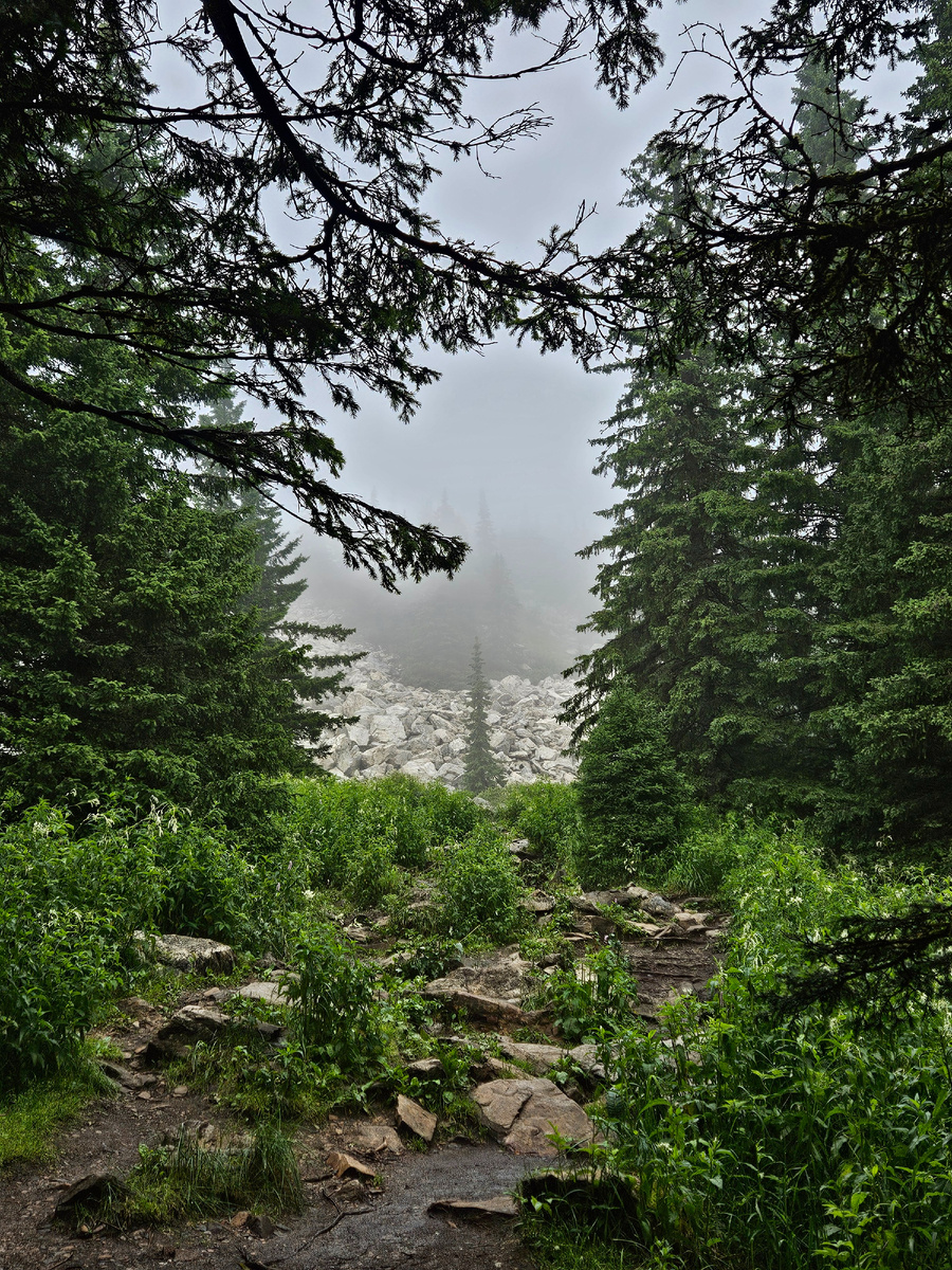 Горная тайга Урала 