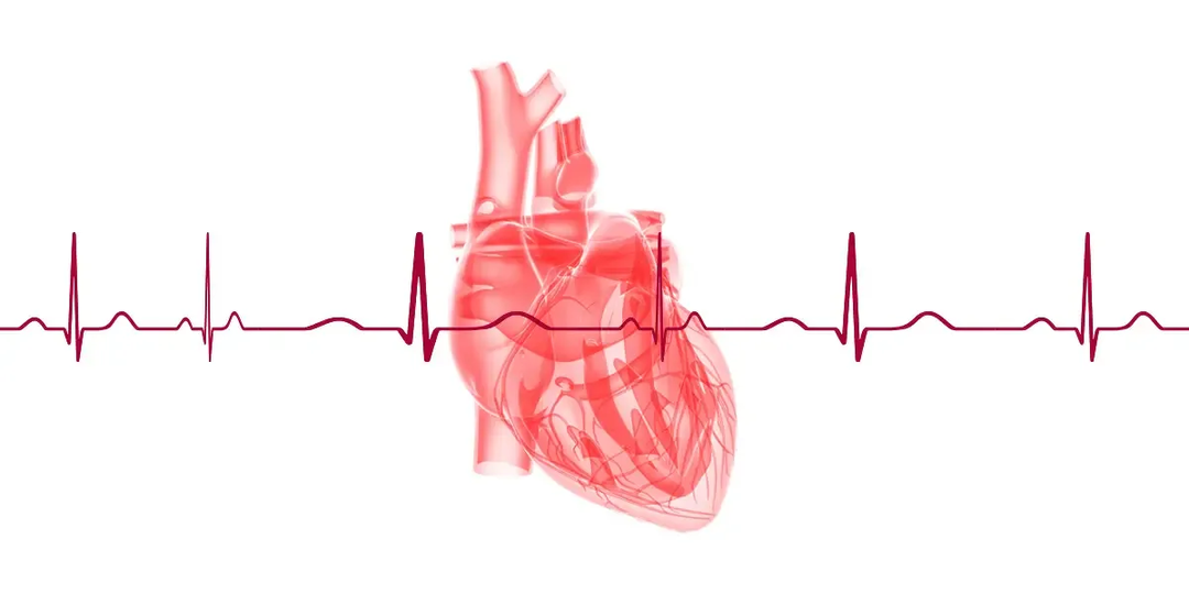 Нарушения сердечного ритма: причины, симптомы и профилактика