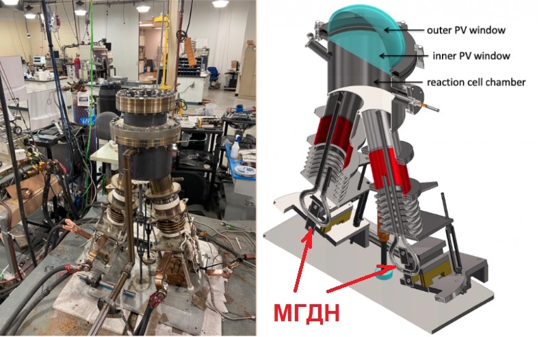Иллюстрация: BrLP