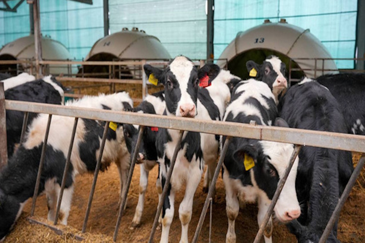    Фото: телеграм-канал Александра Соколова, источник: t.me/aleksandrsokolov43