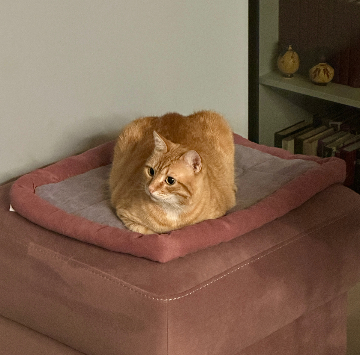 Марсель 12.12.2025