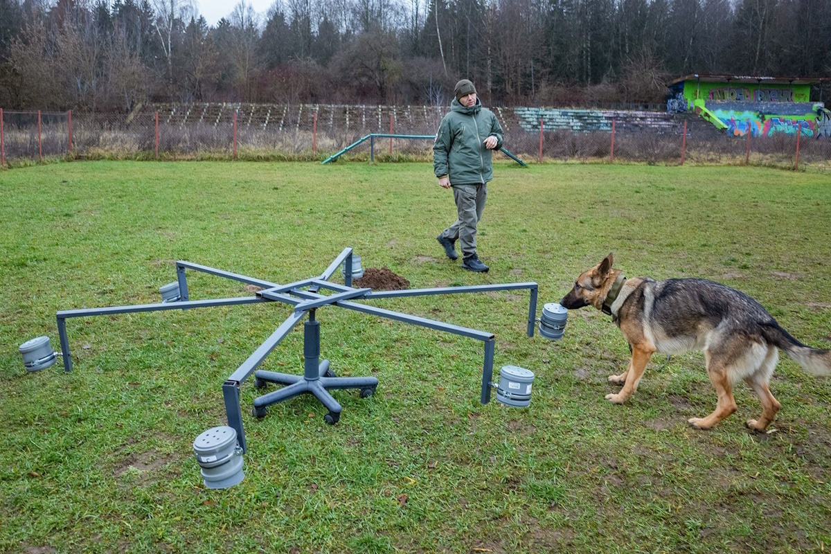    Фото: Объединение культурных и досуговых центров Зеленоградского административного округа, источник: mos.ru