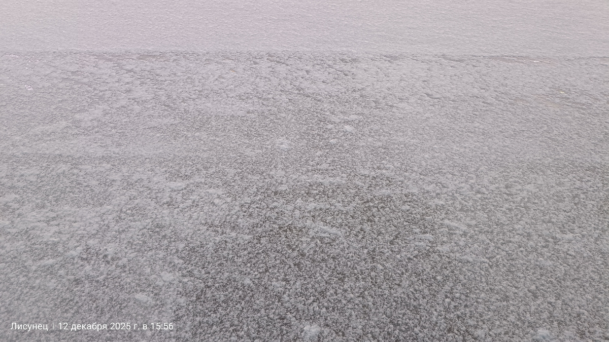 Снег выпал.Фото автора