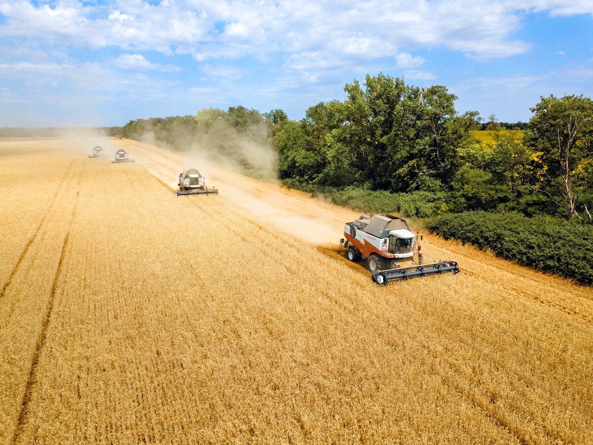 Фото: t.me/ProAgroTatarstan