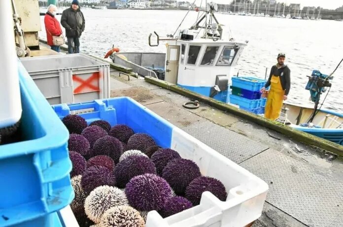    Фото: logostitul.ru