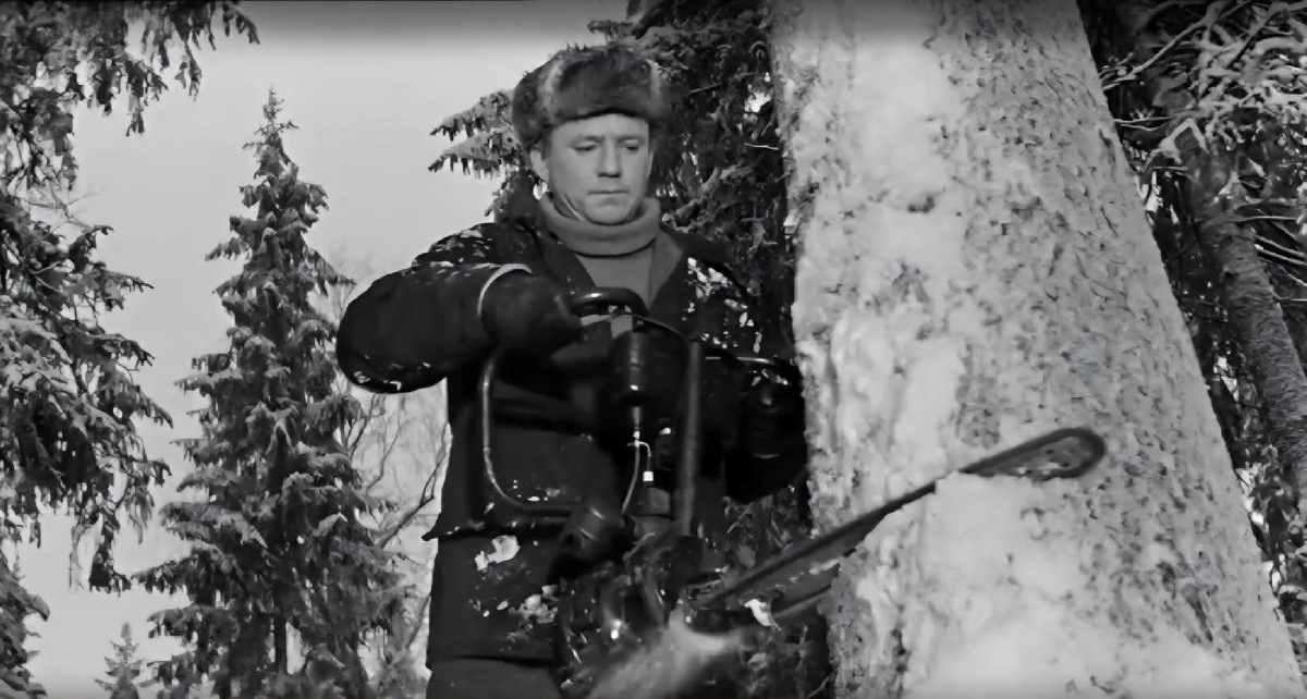    Николай Рыбников (фото: кадр из х/ф «Девчата», 1961)
