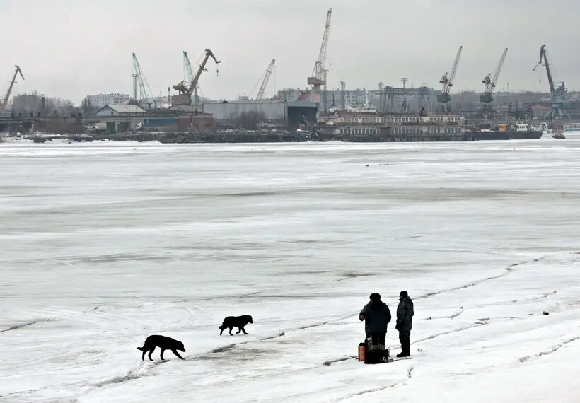     © РИА Новости. Алексей Даничев