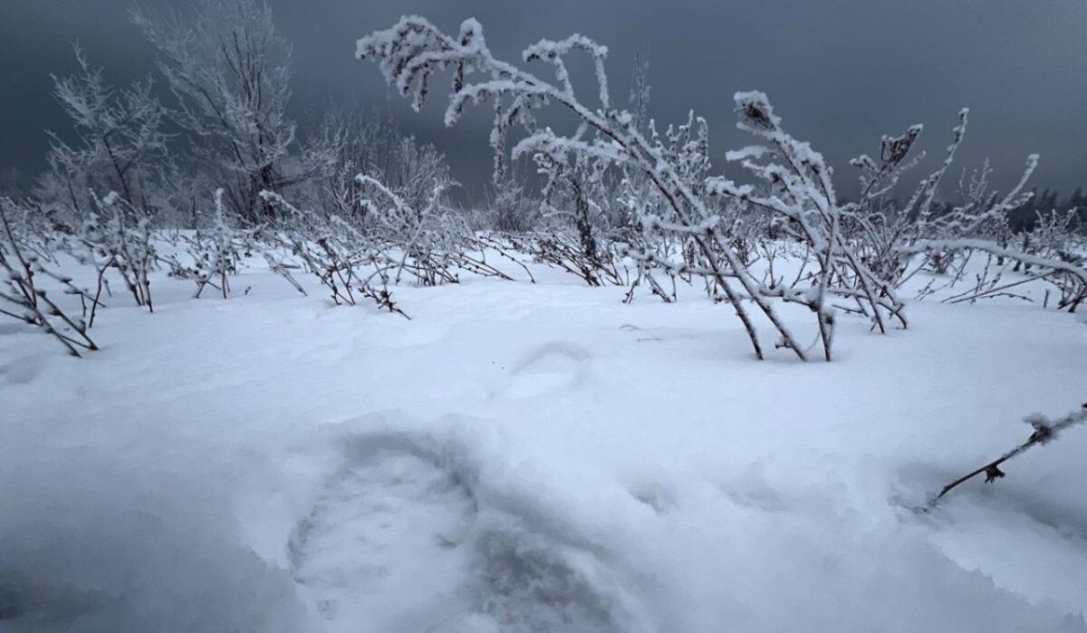     Снег. Источник: samadm.ru Автор фото: Анастасия Темникова