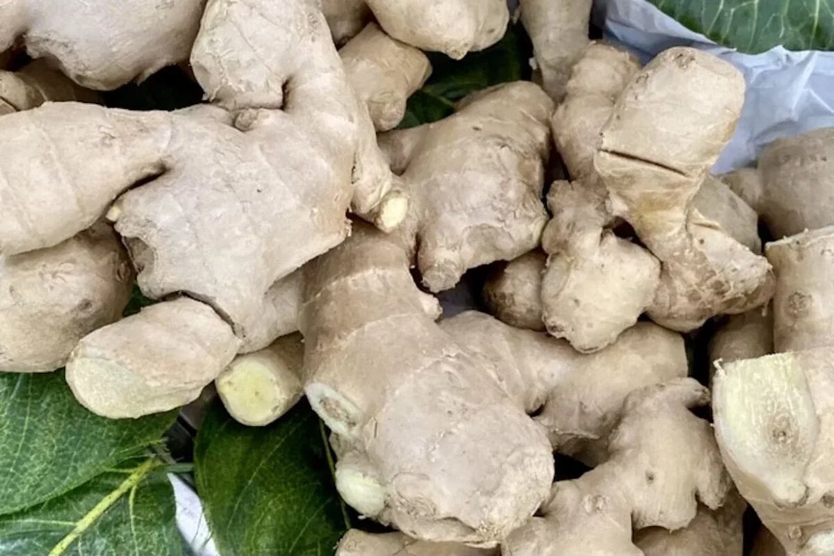 Фото: UfaTime.ru