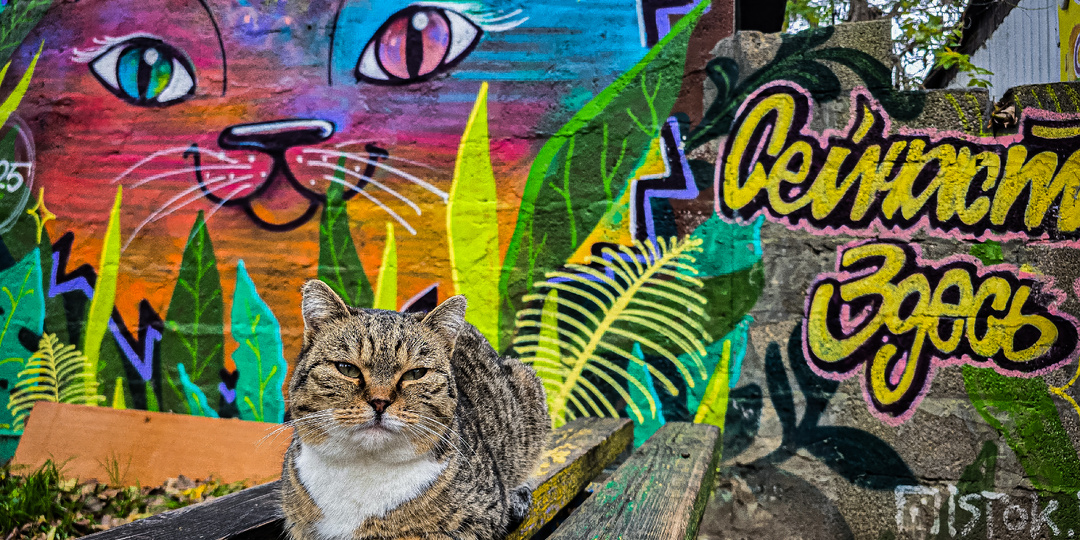 №77 📷 Фотокарточки - Телефонофотокарточки 📱ч.3