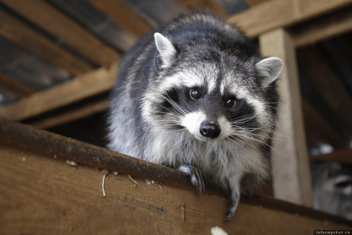 Фотография носит иллюстративный характер. Фото: Андрей Степанов