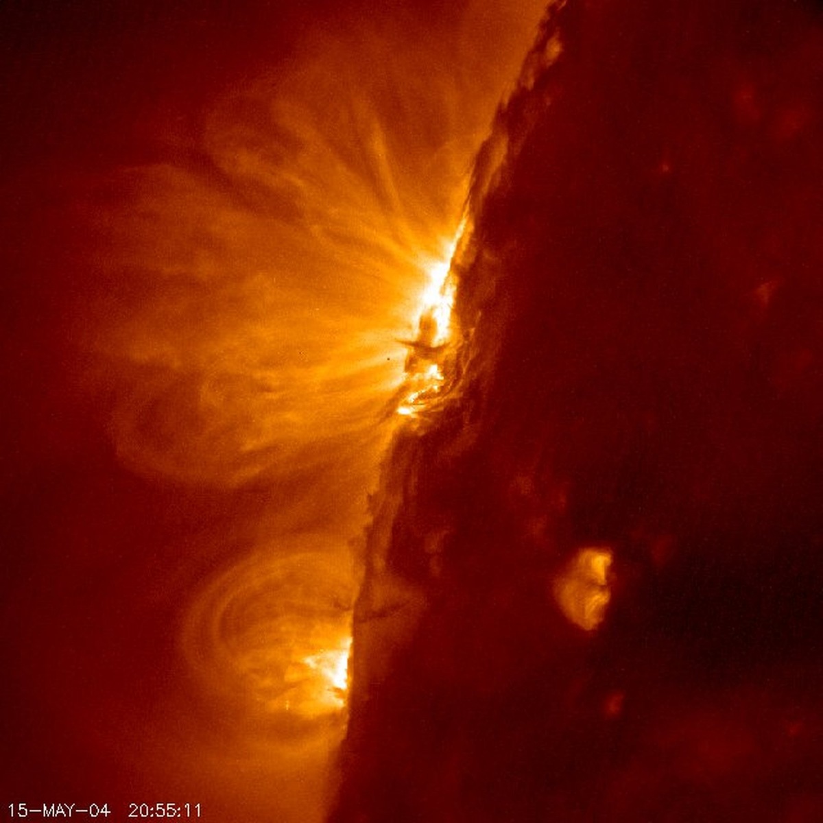   Протуберанец II типа (тёмная полоса на фоне яркой активной области). Изображение, полученное космическим аппаратом TRACE, в корональной линии 195 Å