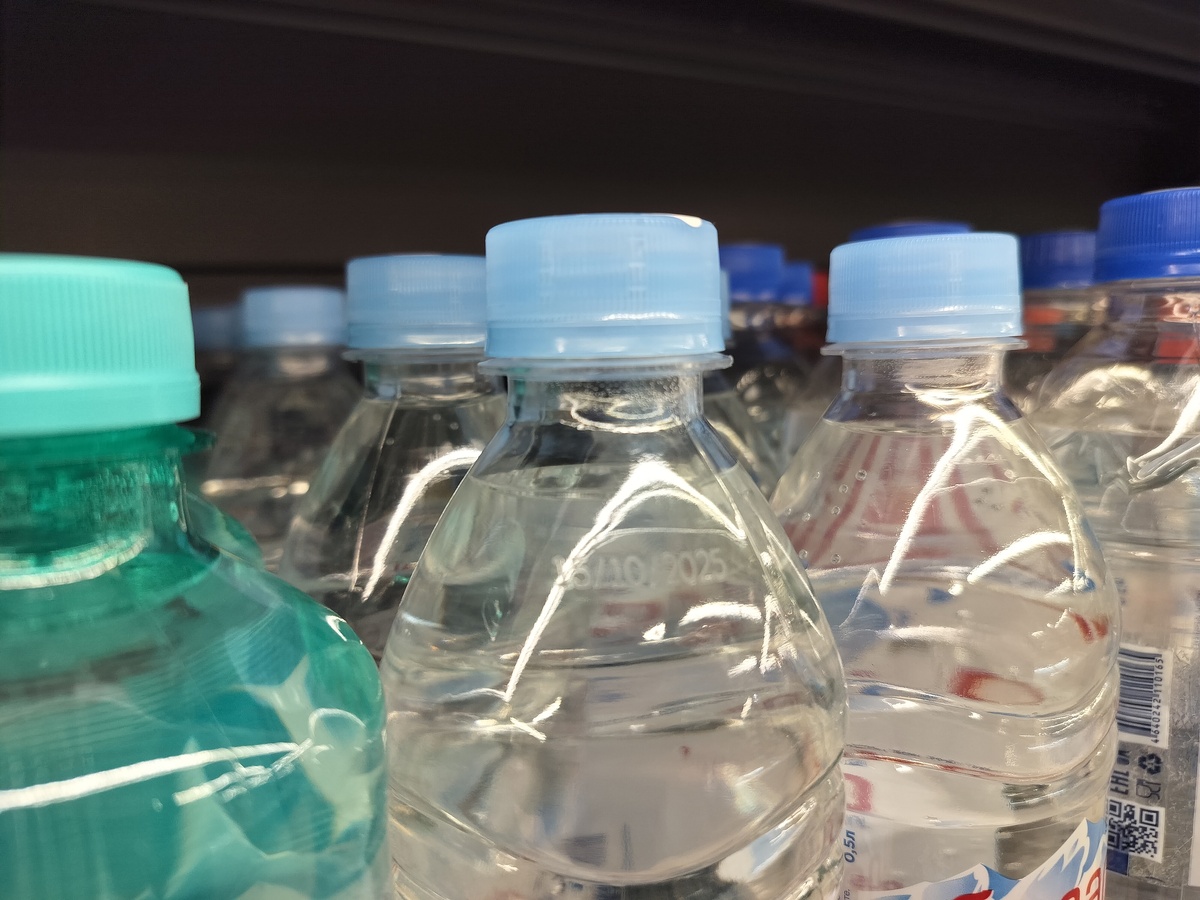    фото: © Столица на Онего