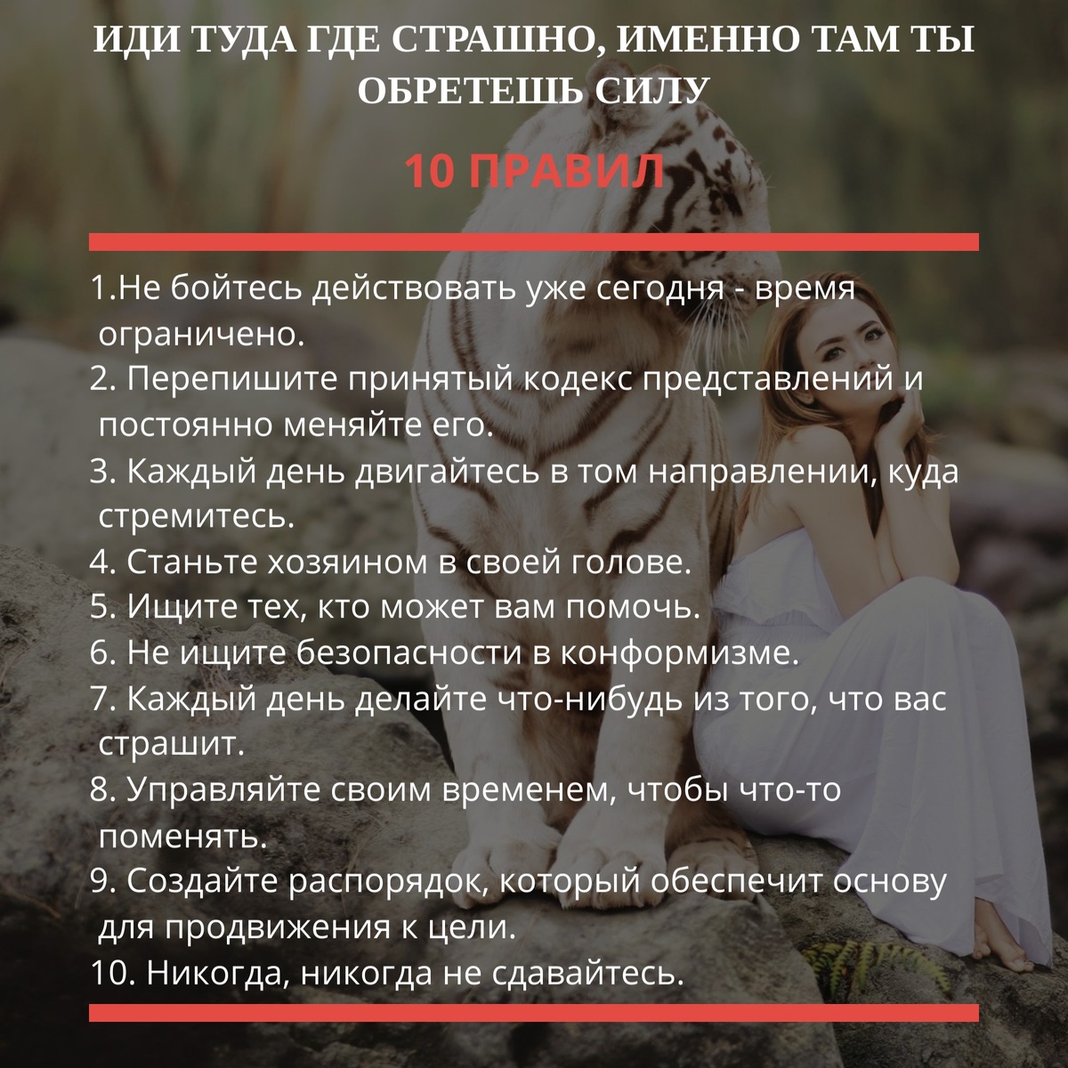 Укроти своего тигра