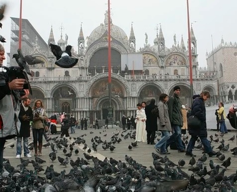 Фото: соцсети