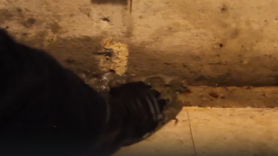 ФОТО: Кадр из программы "Самая полезная программа", РЕН ТВ