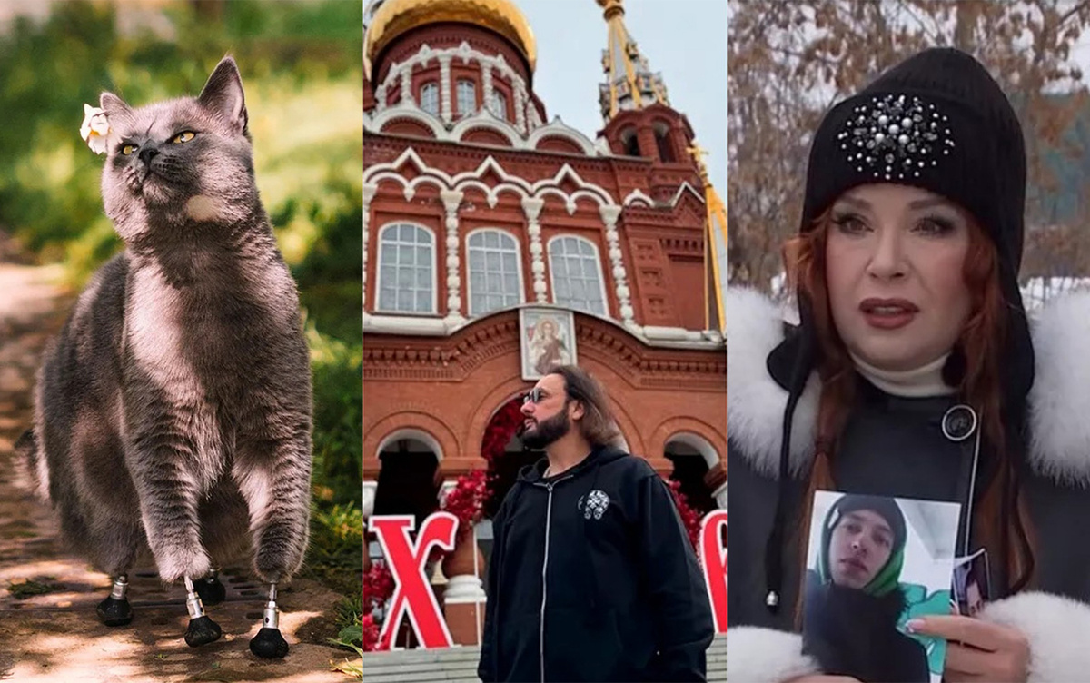    Смешные, добрые и необычные: какие истории трогали читателей в 2025-м