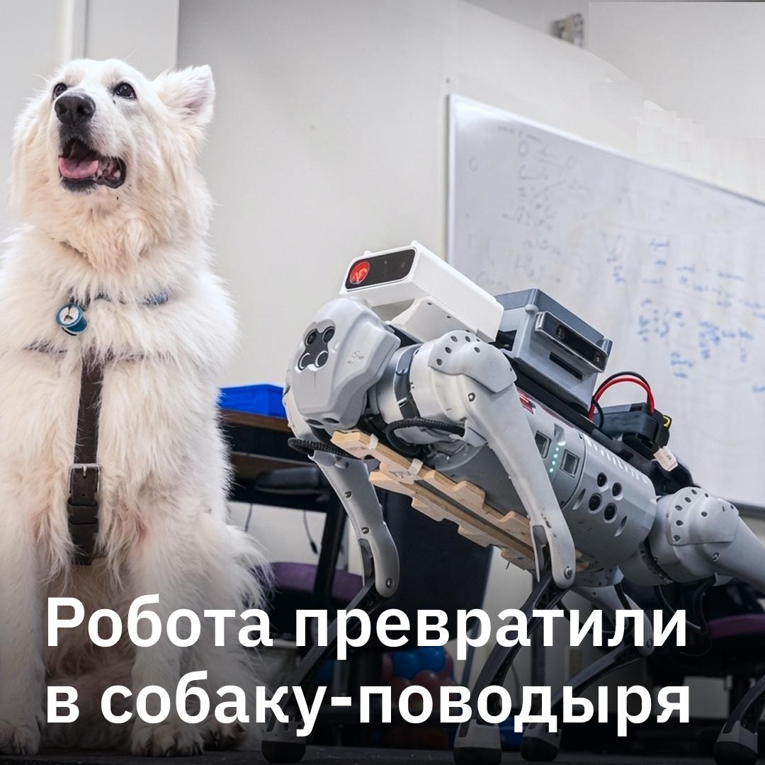 В испытаниях GuideNav провел незрячих людей по маршрутам до одного километра