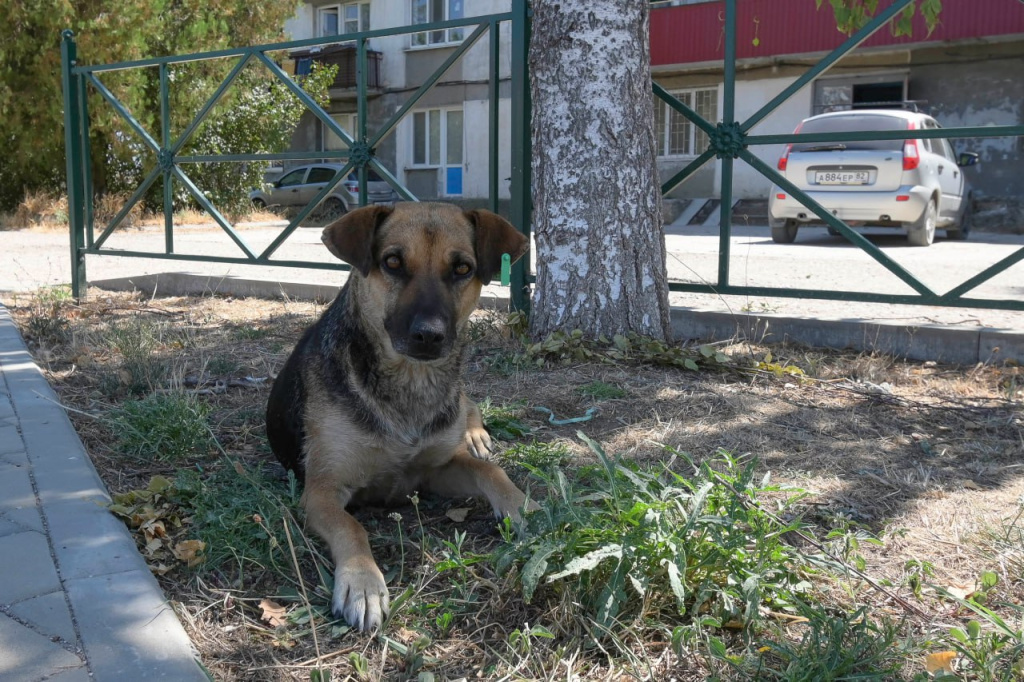 Фото: Гала Амарандо