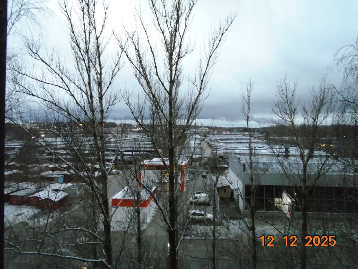 Пламя поднималось до серого дыма.