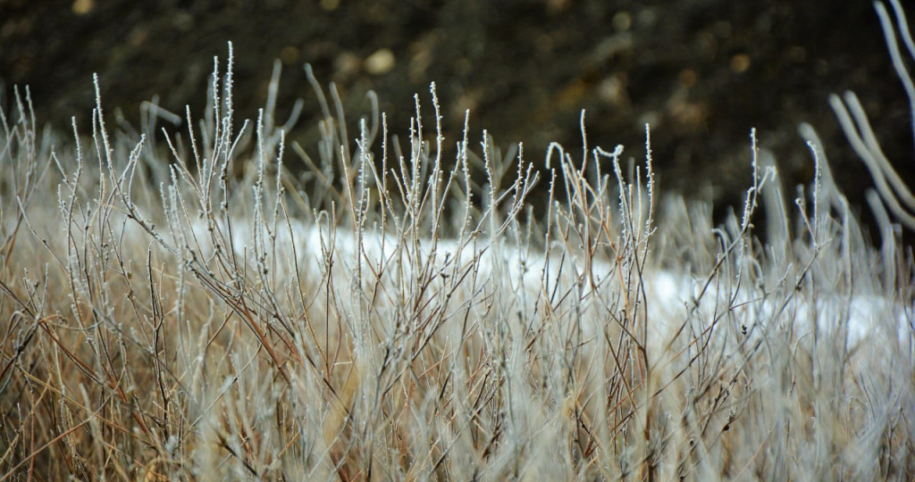 Ушибы и вывихи: невролог назвала главные ошибки после падения на льду