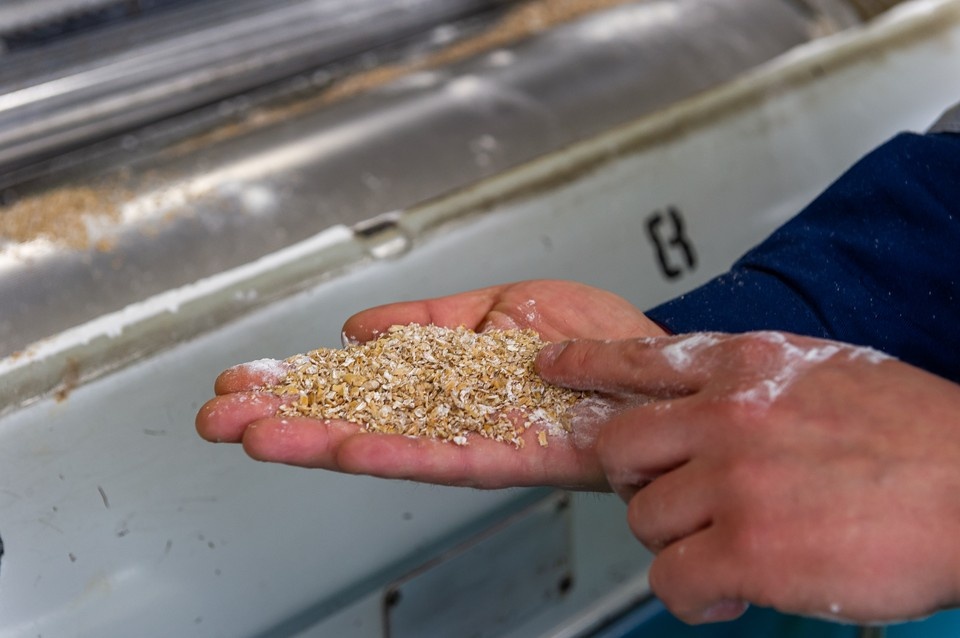    Партию муки не пустили в Петербург. Олег ЗОЛОТО