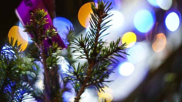    © Sputnik / Владимир Астапкович