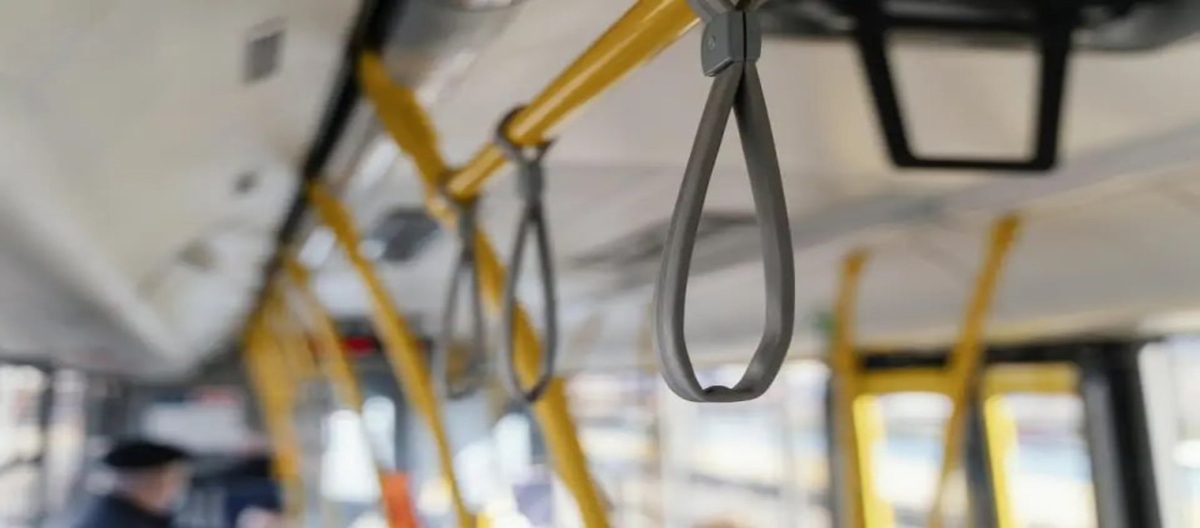    Курского перевозчика будут судить за махинации с субсидиями на 14 млн рублей Фото – ru.freepik.com