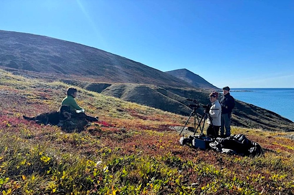 Автор фото: оператор-постановщик фильма Тимофей Чаплинский. Источник: prochukotku.ru