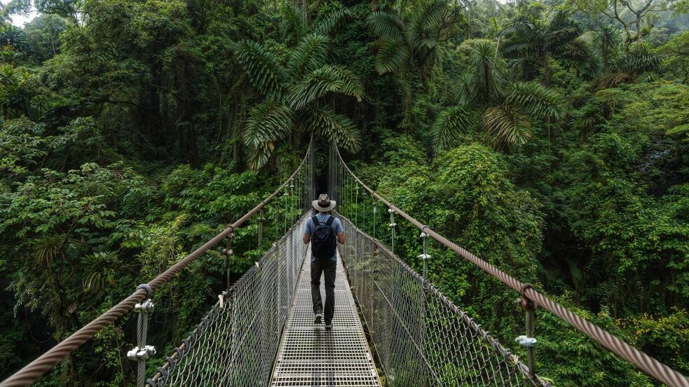    Фото: Teo Tarras/Shutterstock/Fotodom