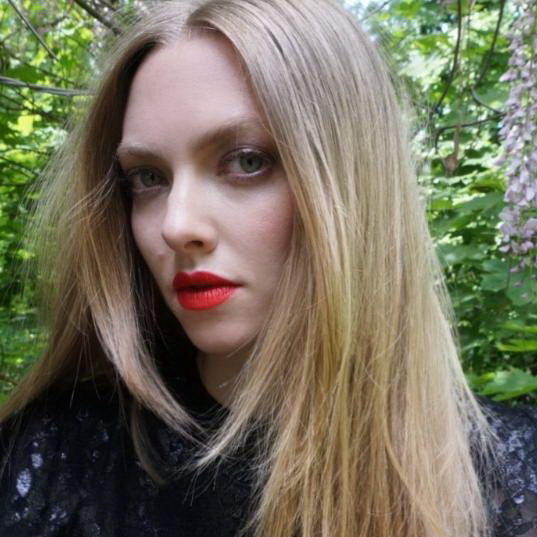     Аманда Сайфред сыграет жену-мстительницу в сериале «Skinny Dip»