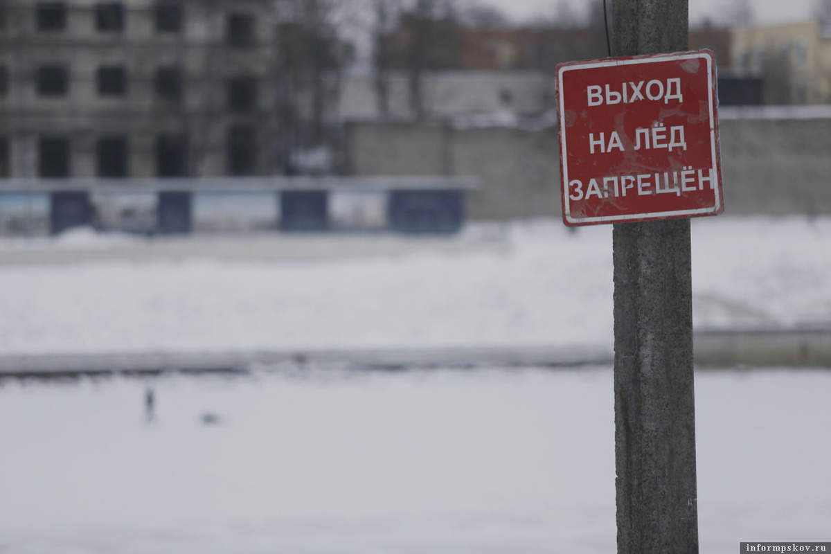 Фото: Андрей Степанов