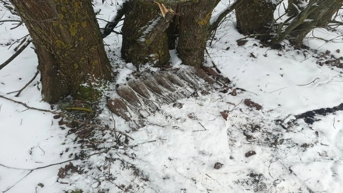    Минометные мины обнаружили в Курской области