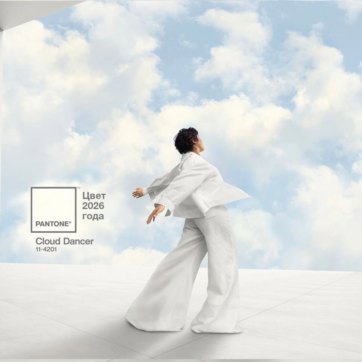     Автор: Pantone Источник: Pantone.ru