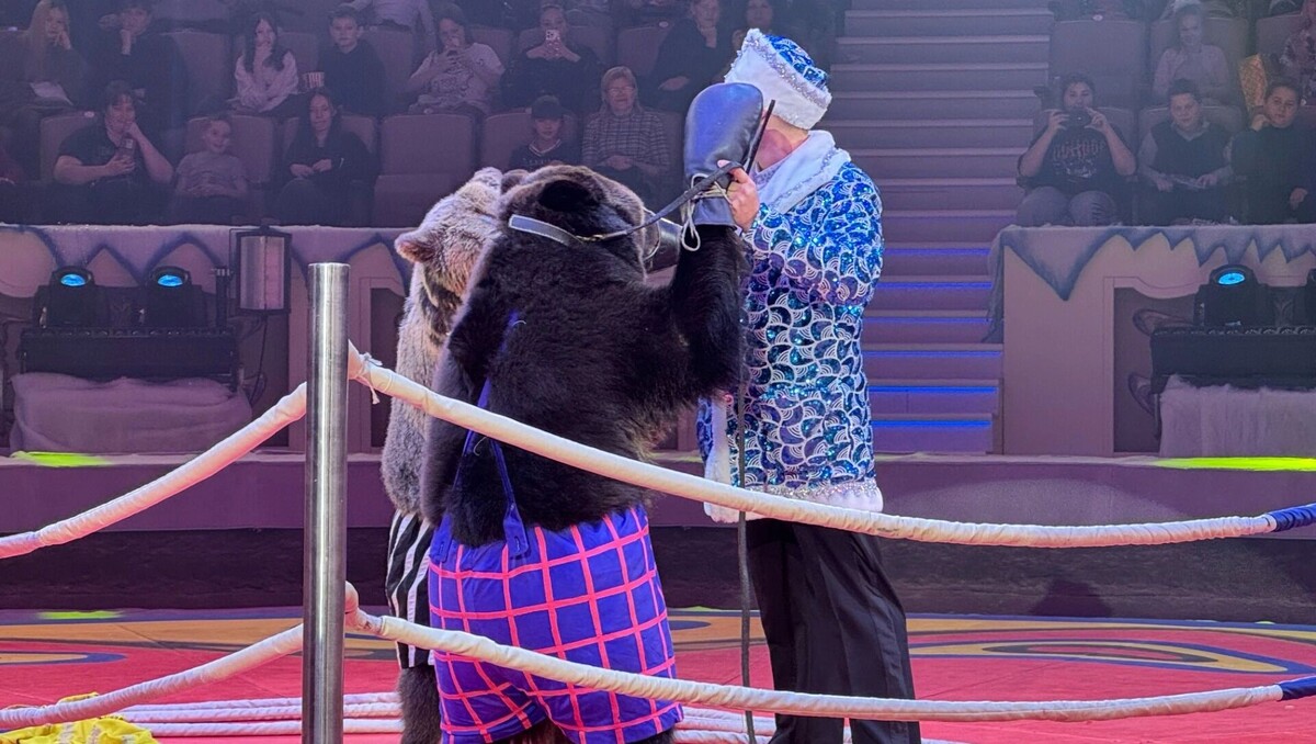     Источник: tagilcity.ru