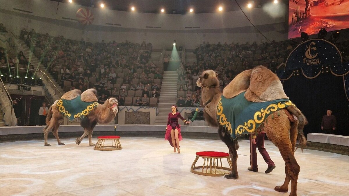     Источник: tagilcity.ru