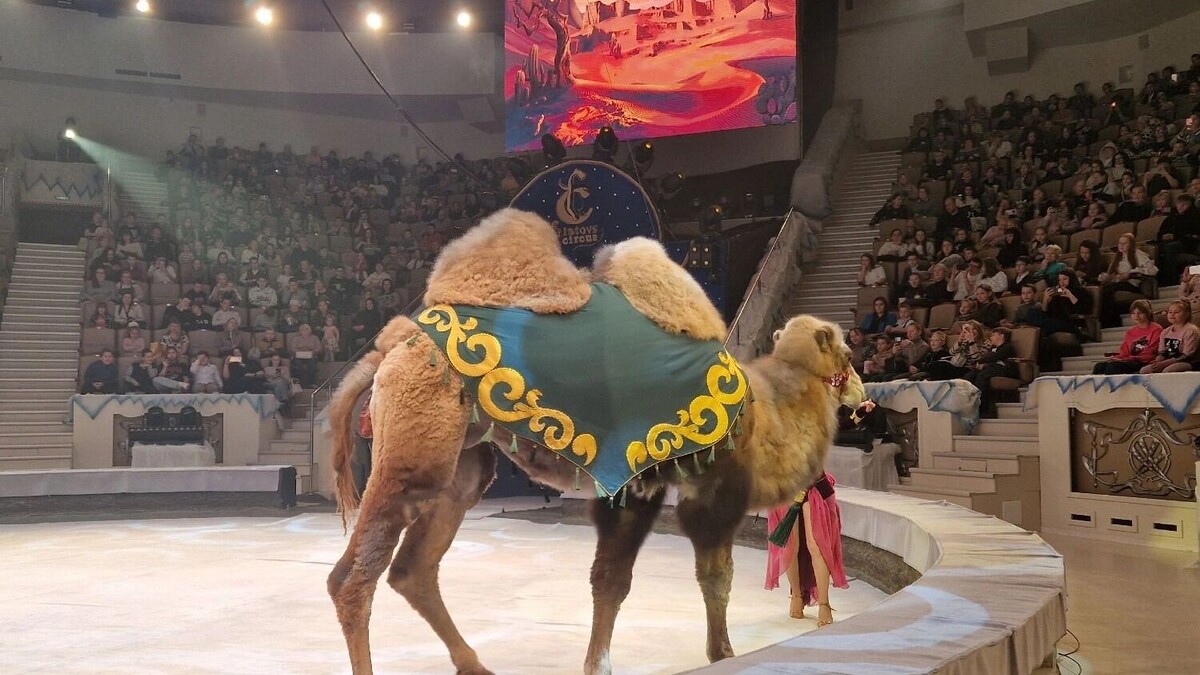     Источник: tagilcity.ru