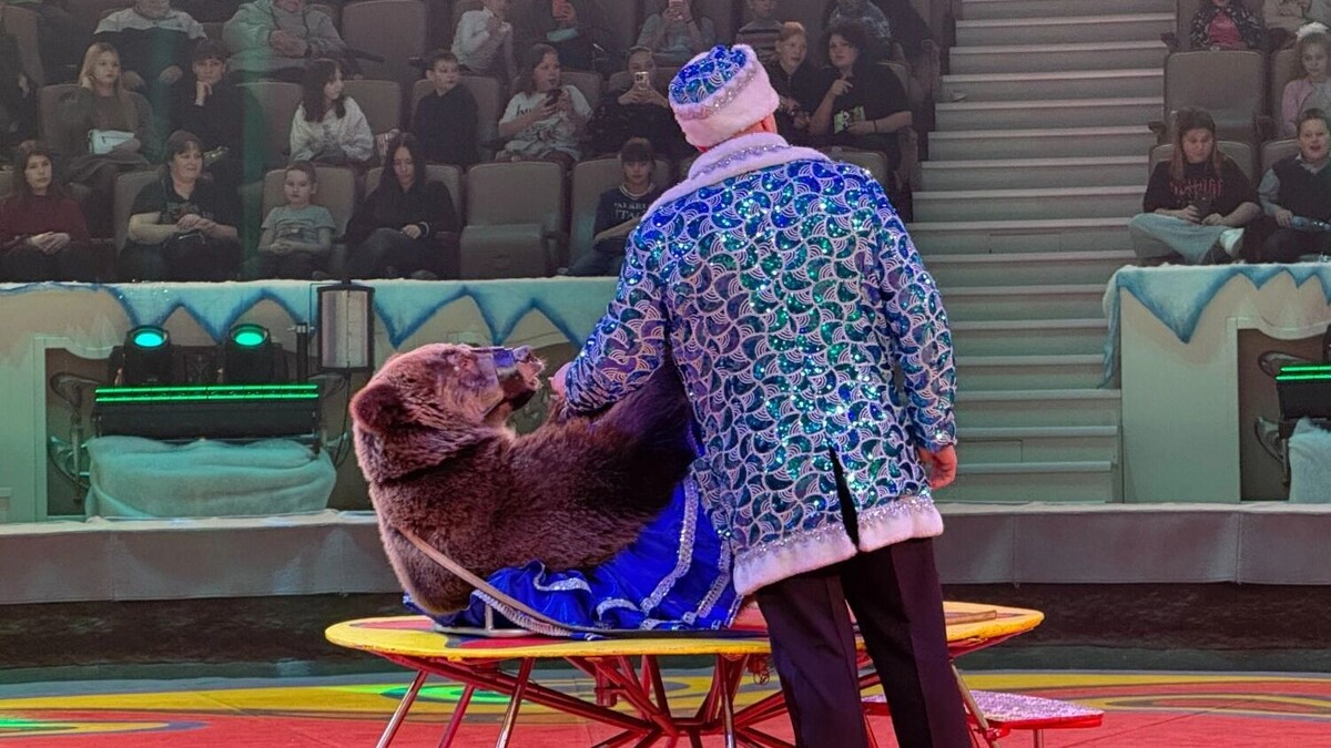     Источник: tagilcity.ru