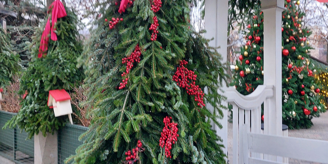 Не смогла пройти мимо. Минимум затрат. Как в 2026 году украсить елку недорого, но круто: 10 идей новогоднего декора