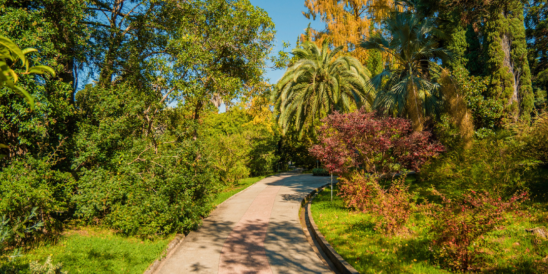 Парк Дендрарий, Сочи. Ноябрь 2025