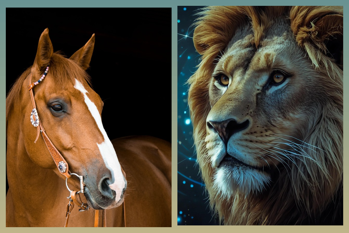 Лев в год Лошади/pixabay.com