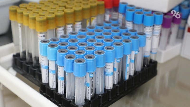      Фото: ИА «Победа26»