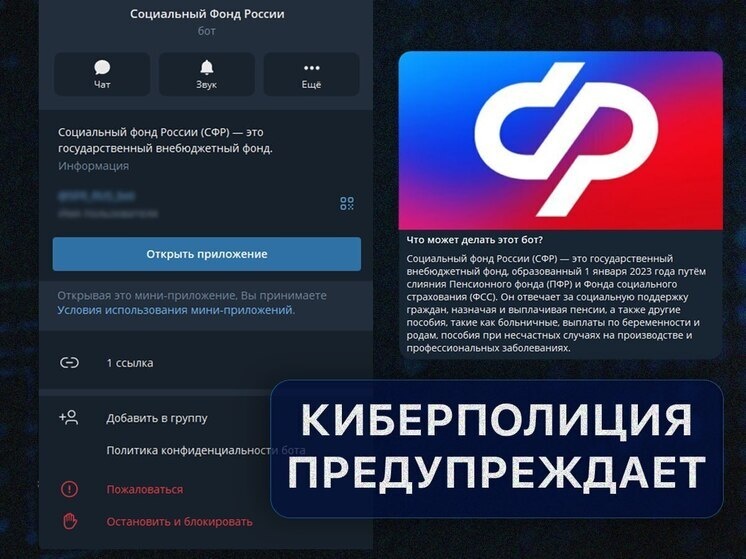     Источник: Вестник Киберполиции России