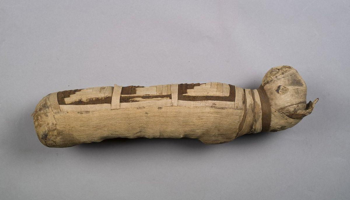 Мумия кошки из коллекции Пушкинского музея. Египет, греко-римский период, III век до н. э. – IV век н. э. Источник: https://vk.com/wall-23141780_10623