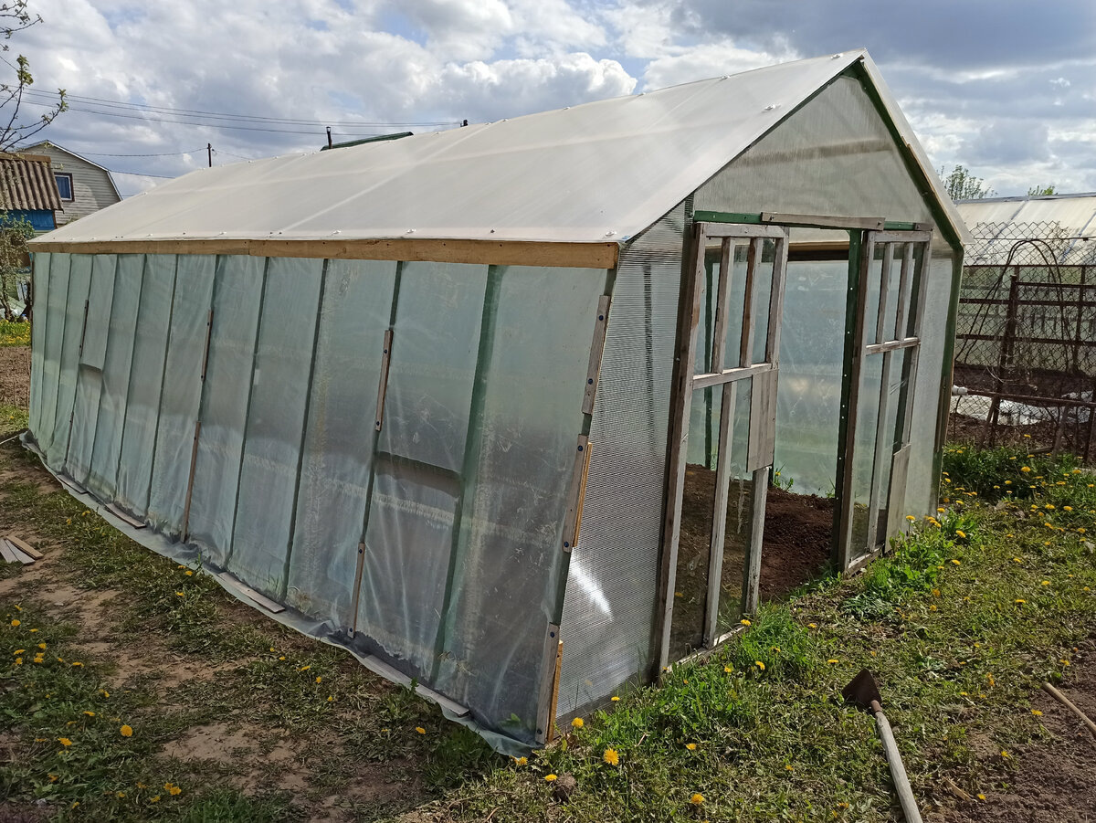 Фото автора. Теплица