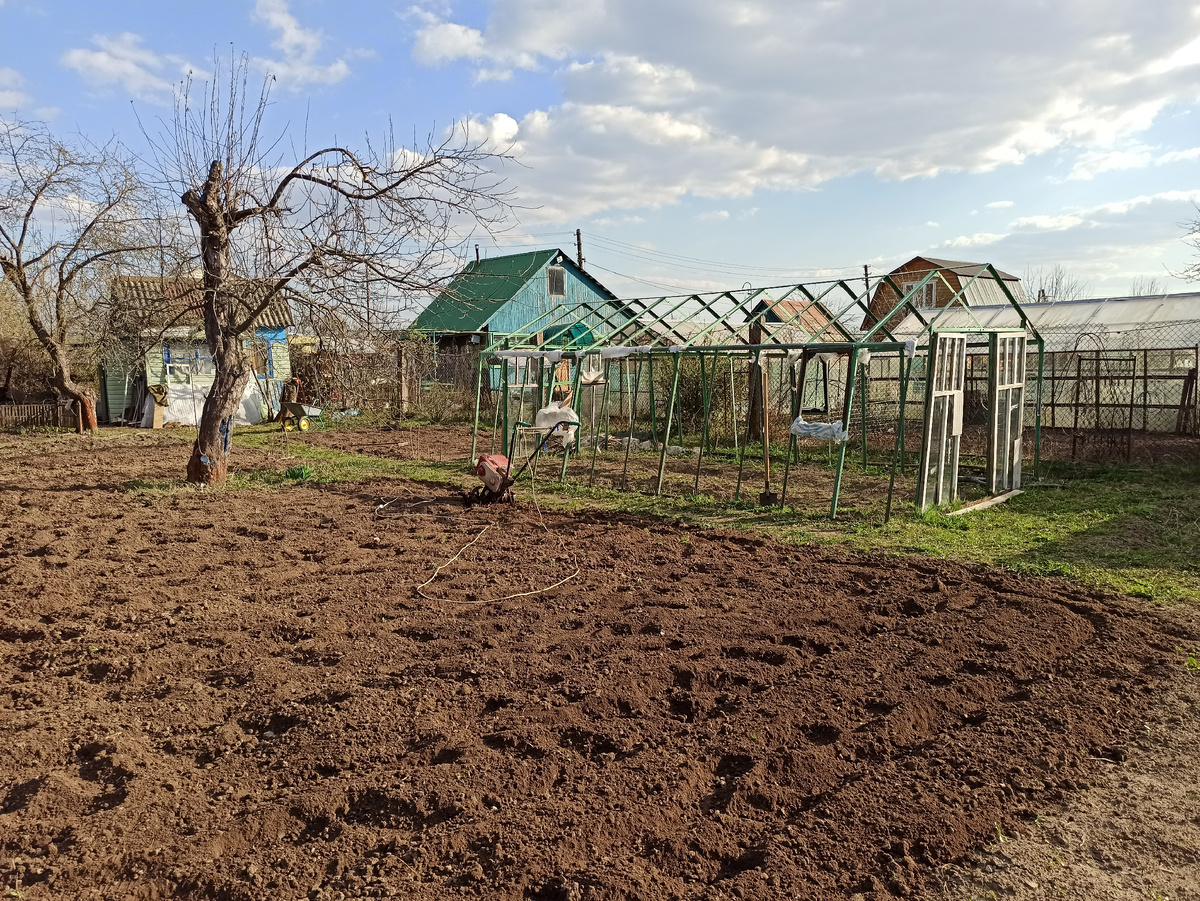 Фото автора. На этом месте я предлагал посадить виноградник